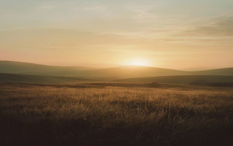 Holocaust Survivor and Nazi Granddaughter Confront Shared Legacy
