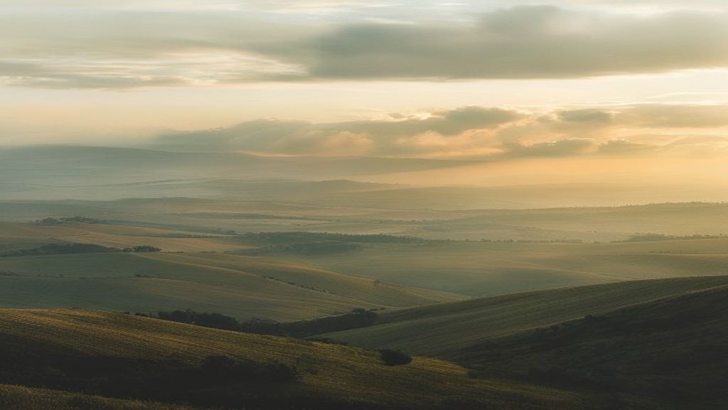 IDF Confirms Hezbollah Drone Triggered Border Sirens, Calling It a False Identification