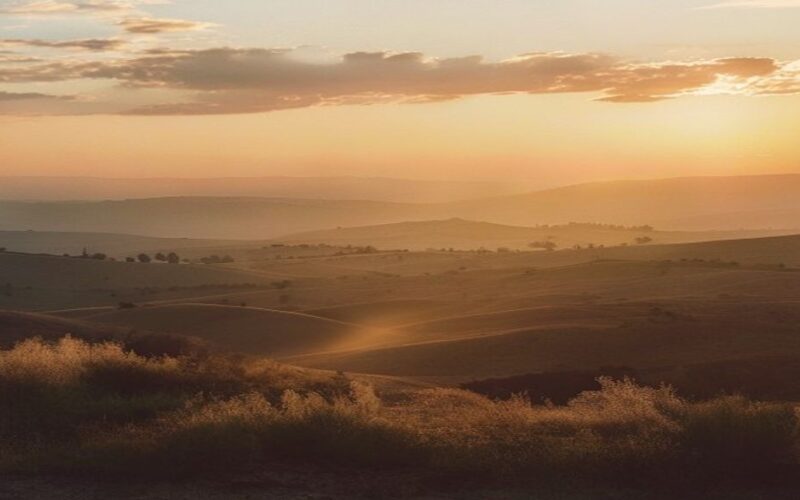 IDF Neutralizes Knife‑Armed Terrorist after Negohot Alert