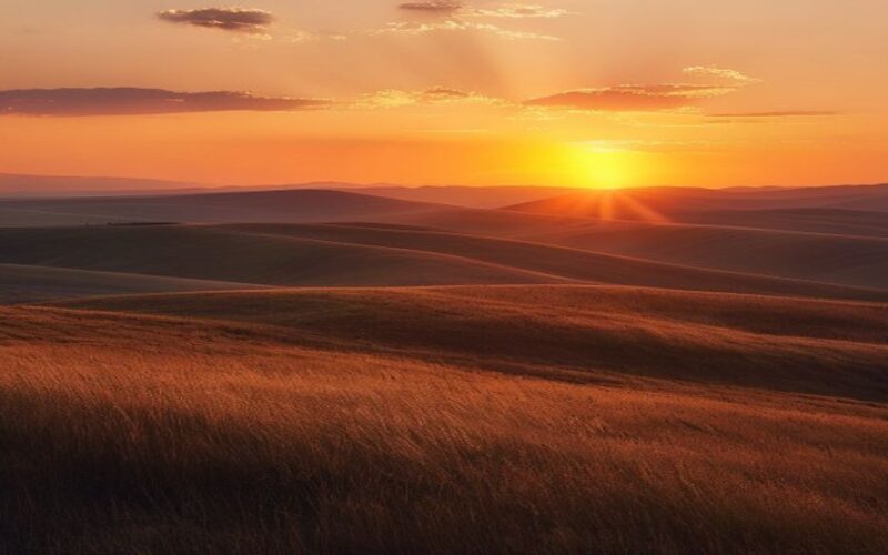 Mother of Fallen Soldier Shares Truth About Operation Red Heart