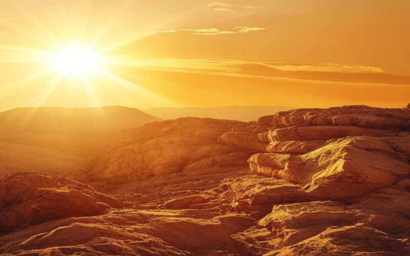 Newly Discovered Fossil Sparks Fresh Debate on Ape Origins — A Biblical Perspective