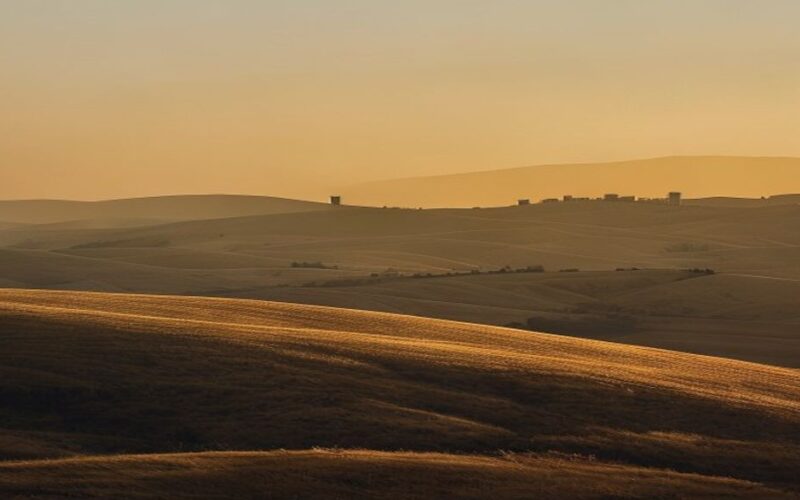 Sgt. First Class (res.) Lidor Porat Killed in Southern Lebanon
