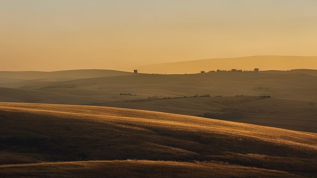 Sgt. First Class (res.) Lidor Porat Killed in Southern Lebanon
